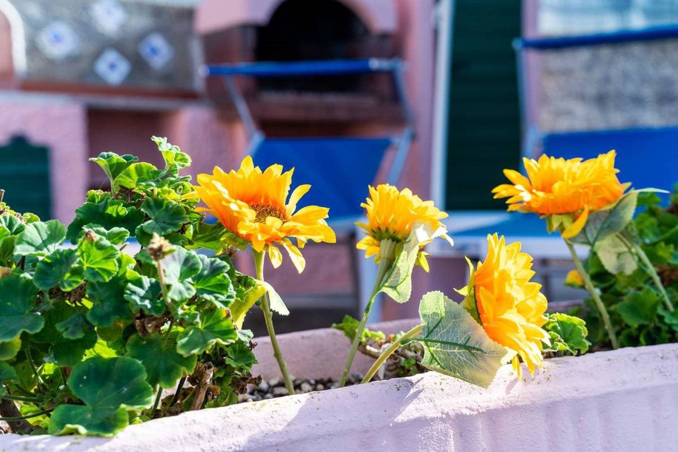 Foto 4 von 26: Ferienwohnung für 2 Personen mit Garten