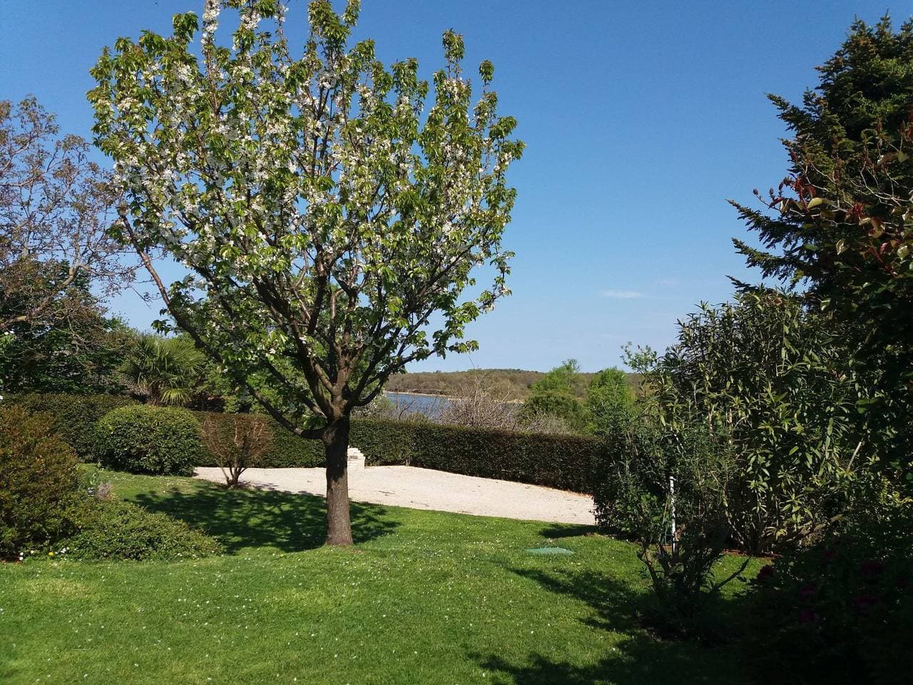 Foto 11 von 42: Freistehender Bungalow Perla mit Garten und Grill
