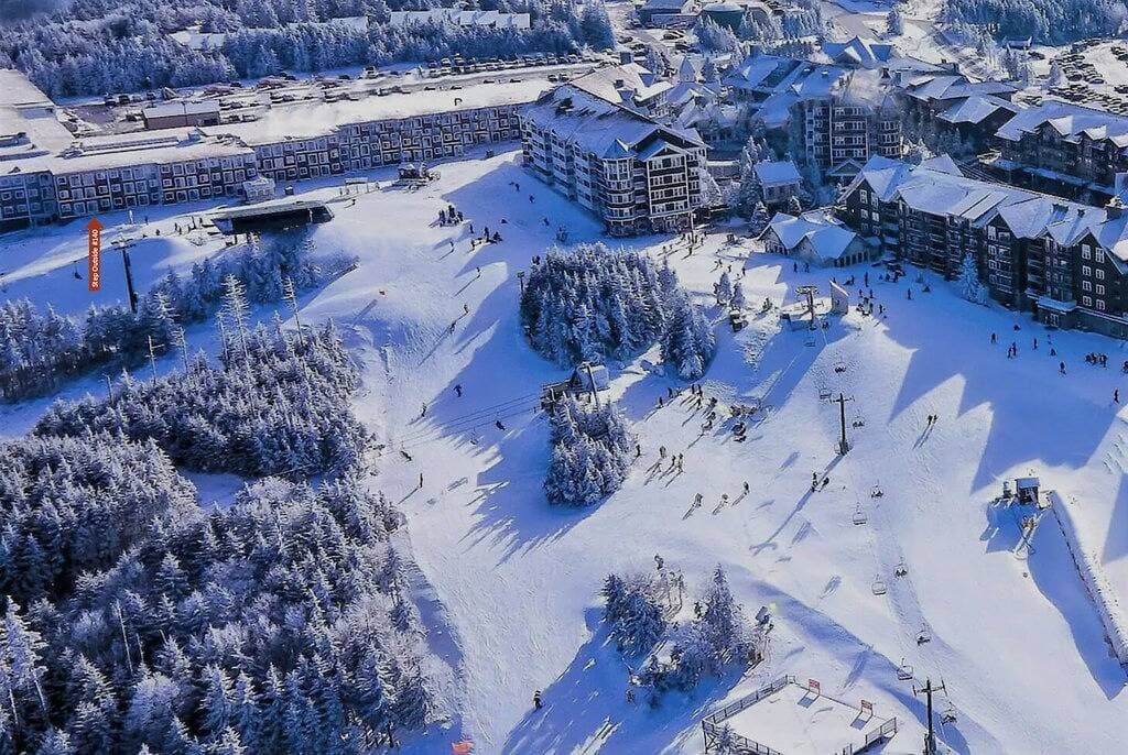 First Floor @ Main Lift Ski-In+Out, Remodeled 1Br 1