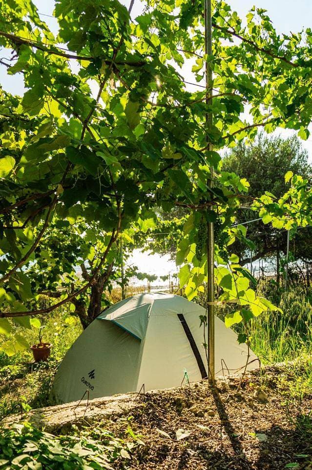 Foto 8 von 16: Tent