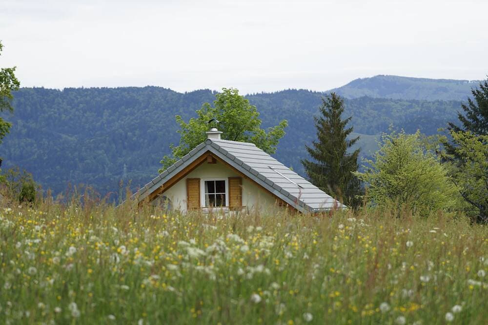 Foto 9 von 18: Rustikal-moderne Ferienalm mitten im Schwarzwald