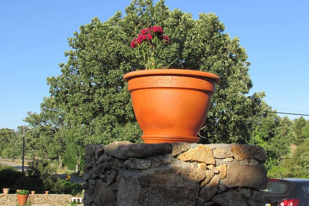 Foto 10 von 30: Casa do Sobreiro - Quinta da Eira Velha - Marvão - Portalegre-Alentejo
