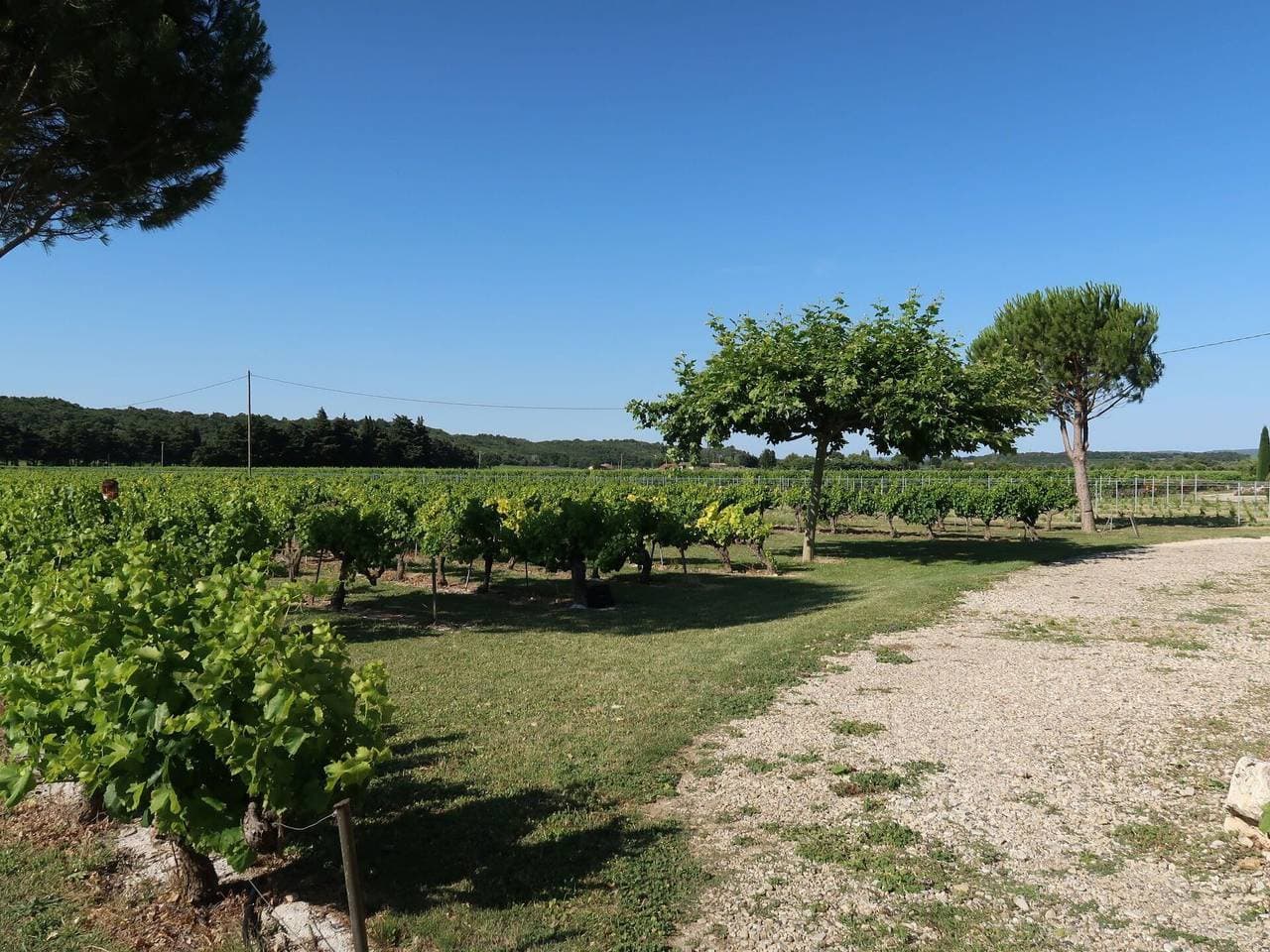 Foto 2 von 14: La Cardeline - La Cardeline 628.1