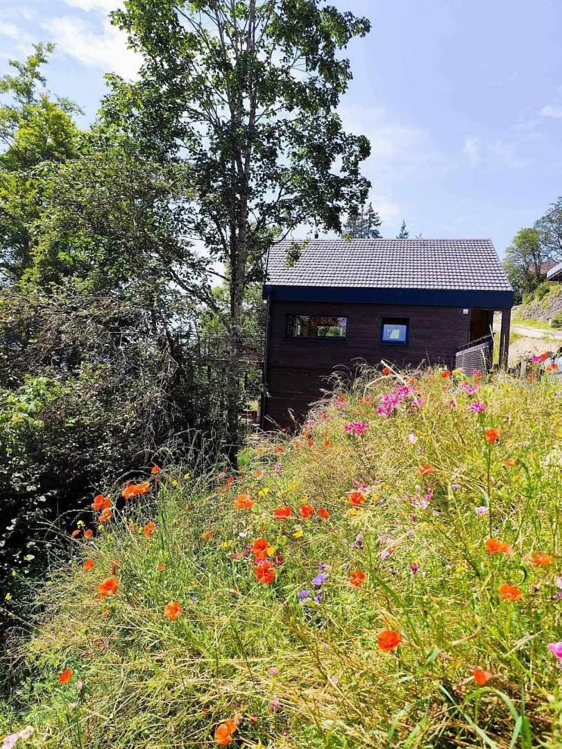 Foto 4 von 29: Chalet Foncine Hill