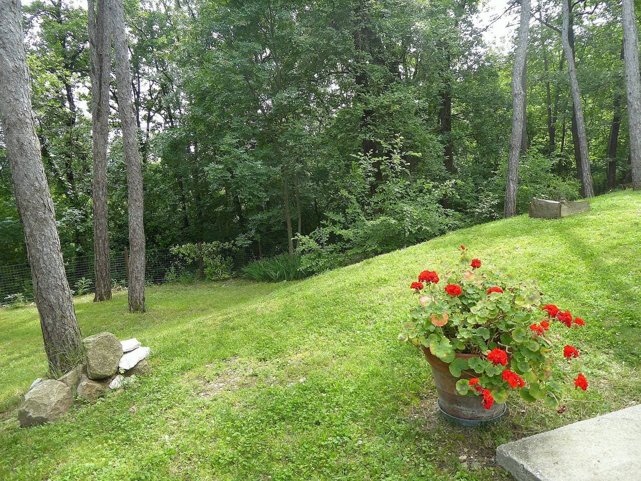 Foto 5 von 51: Casa Delle Eriche, Colli Euganei, Pool, Wifi