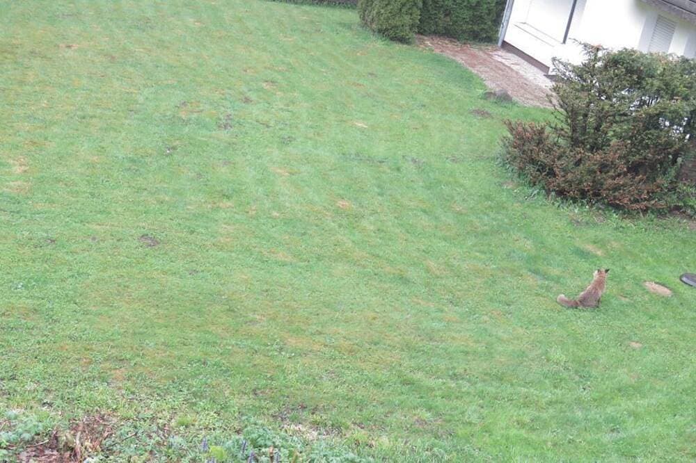 Foto 10 von 25: Ferienwohnung Am Wald 2