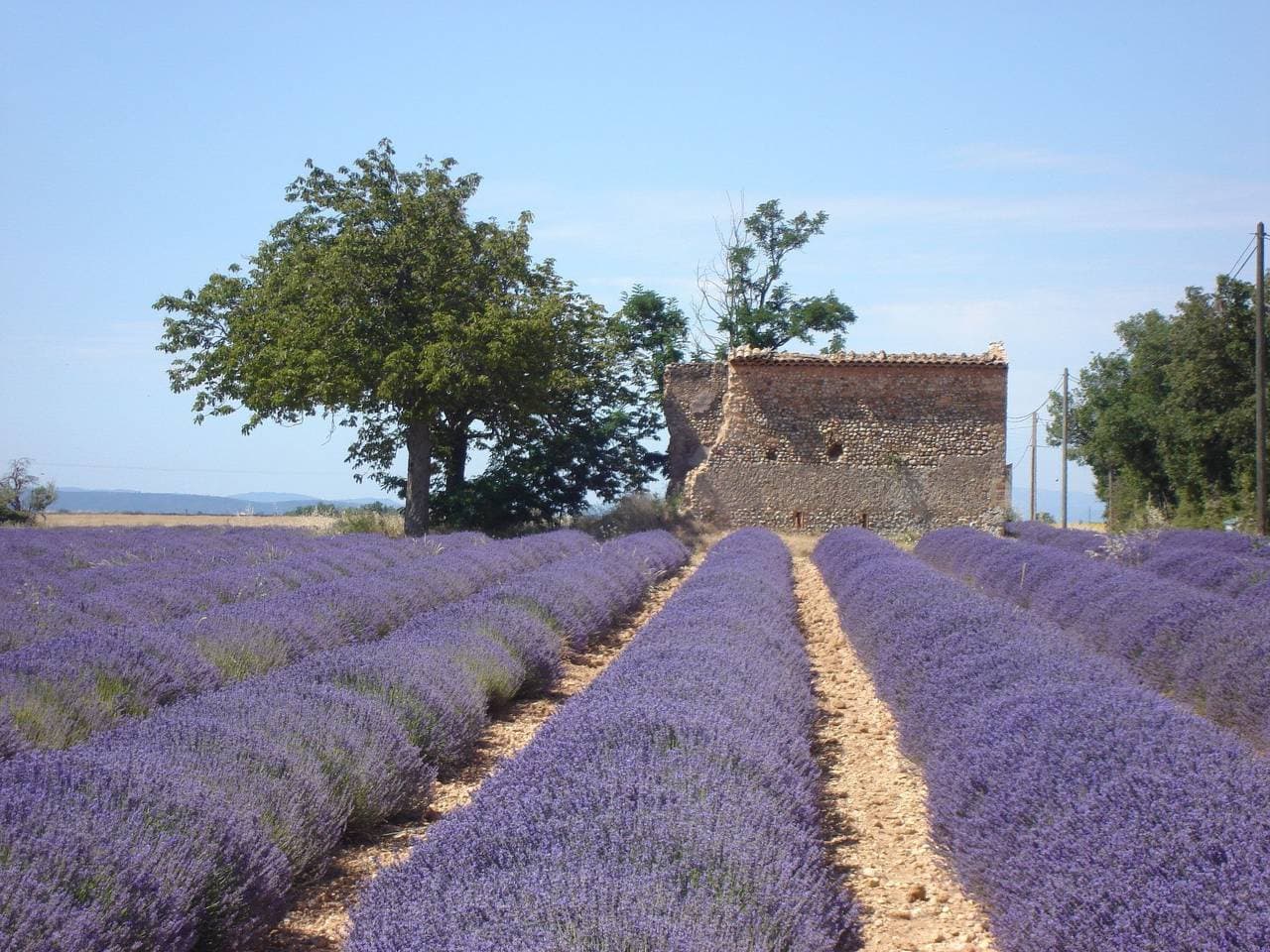 Foto 6 von 23: Im Luberon Provence