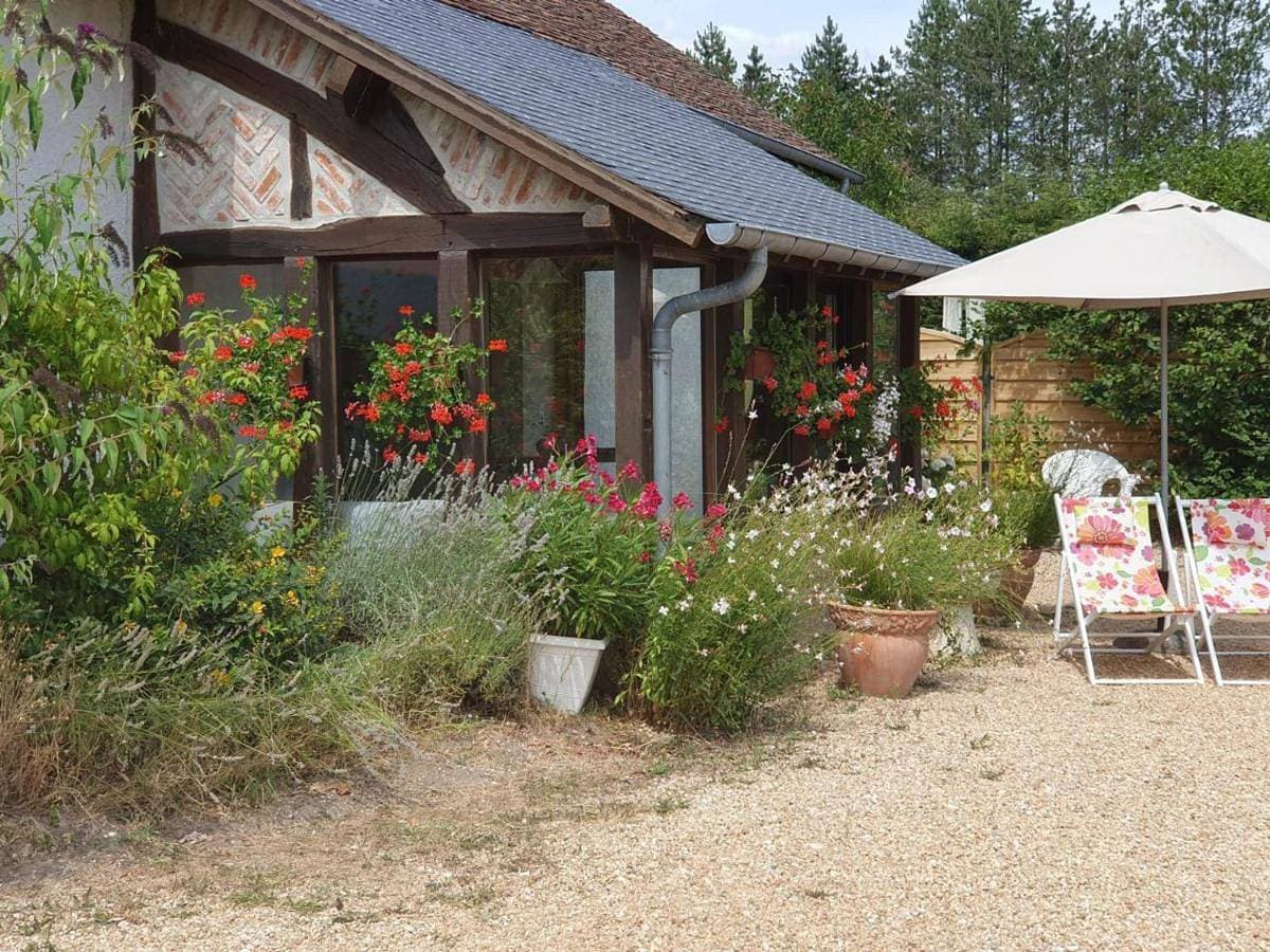 Gîte rustique à Cheverny: nature, tennis, animaux bienvenus, pêche et châteaux de la Loire à proximité - FR-1-491-366 1