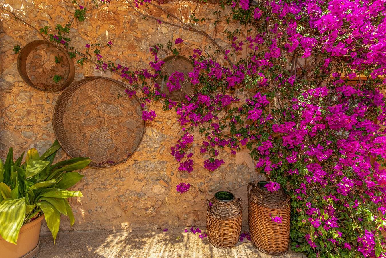 Foto 11 von 63: Alaroters, Villa-Finca 5StarsHome Mallorca