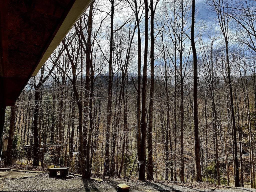 Foto 11 von 43: \"Porch and Pine\" nicht so winziges kleines Blockhaus