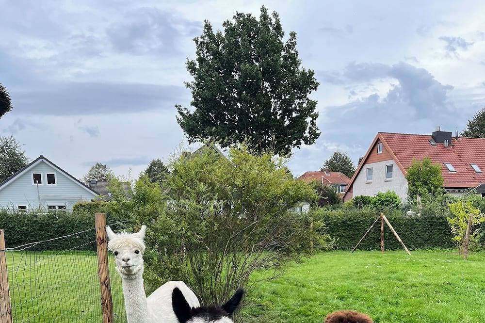 Foto 11 von 30: Ostsee - Romant. Ferienhaus / Ferienwohnung nahe Scharbeutz u Eutin mit Alpakas