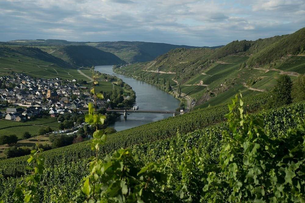 Ruhig gelegenes Ferienhaus mit Sauna direkt an der Mosel 1