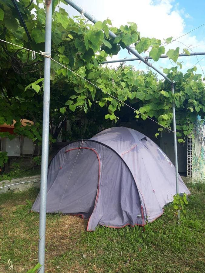 Foto 2 von 16: Tent