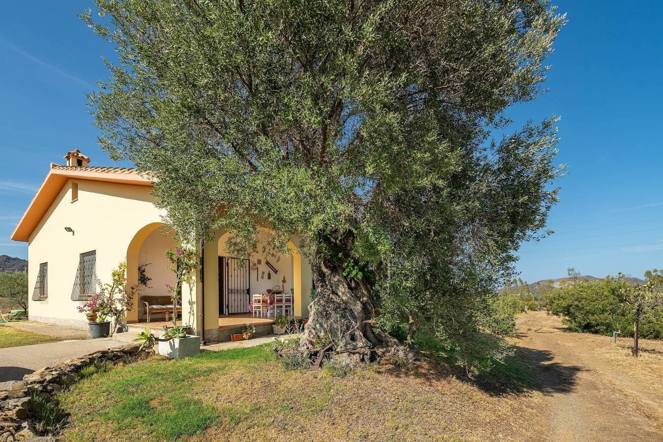 Villa Oliveto 1