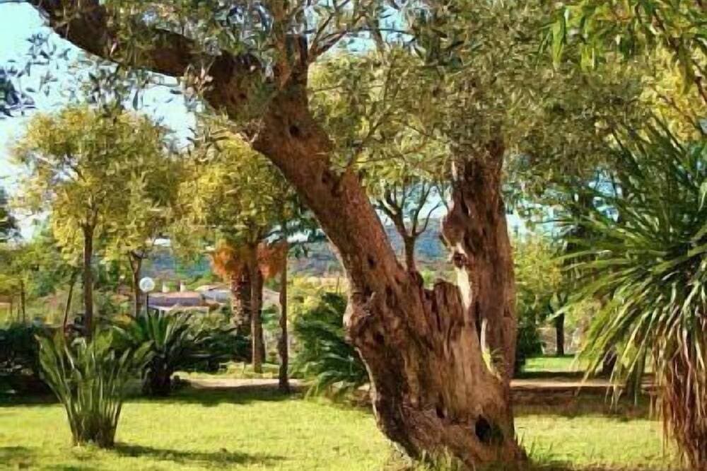 Foto 7 von 14: Sonderurlaub In Sardinien