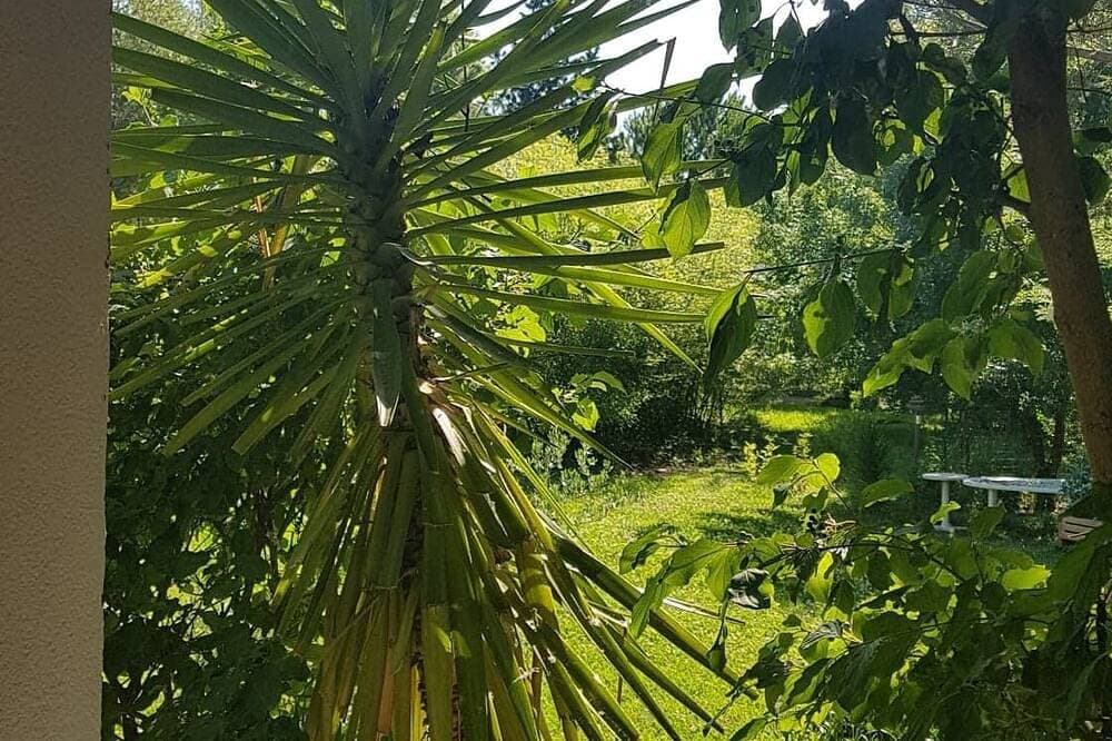 Foto 11 von 30: Schöne Lage, günstig zur Ruhe in einem Weiler in der Camargue