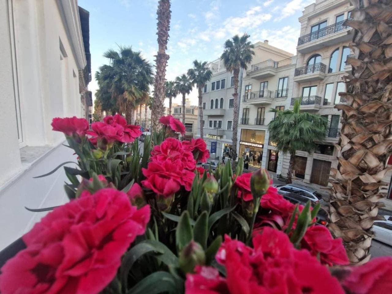 Foto 11 von 14: Santa Maria, Vila Cerloj