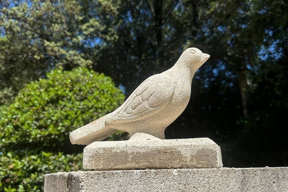 Foto 9 von 30: La maison aux oiseaux - Luberon