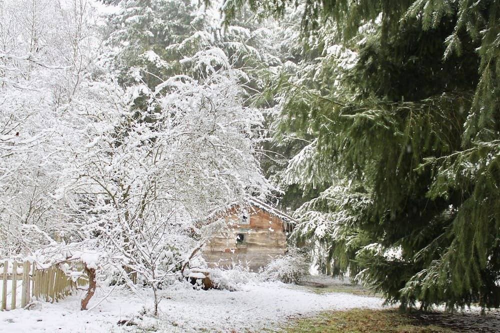 Foto 7 von 30: Wunderbare Hütte aus dem 19. Jahrhundert im Wald von Rambouillet, 1 Stunde von Paris entfernt