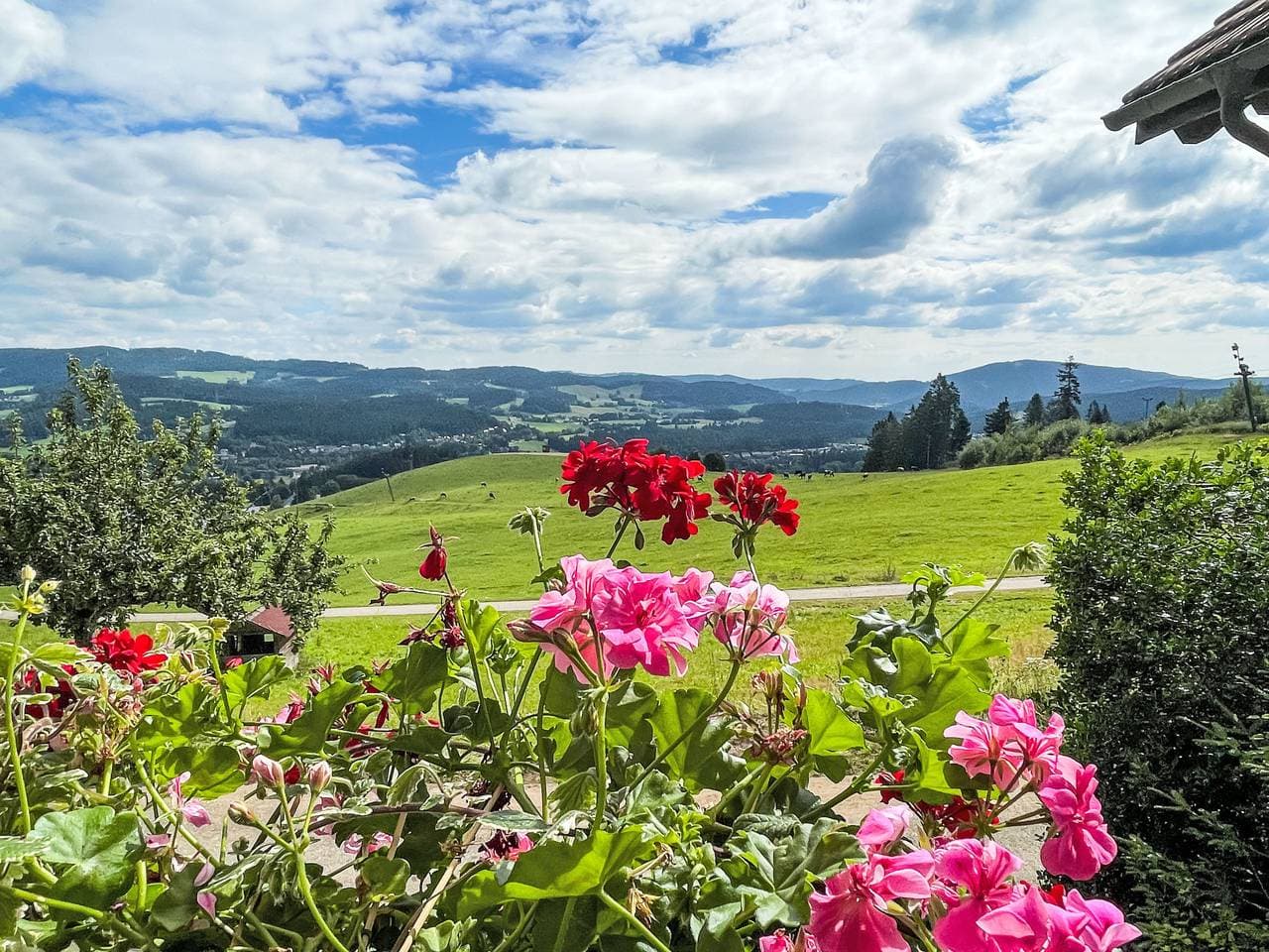 Foto 6 von 32: Mühlenmichelshäusle
