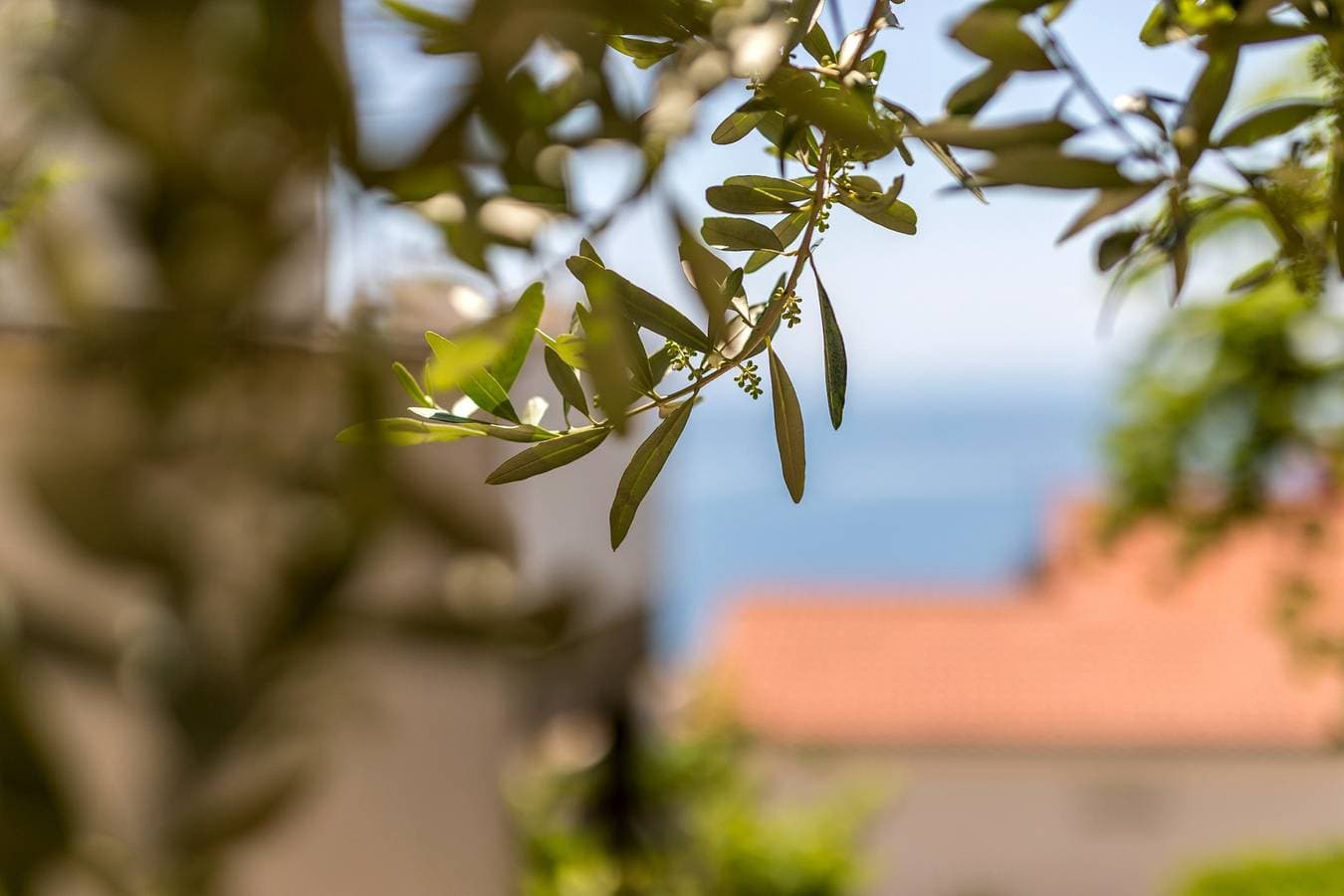 Foto 5 von 14: Studio Appartement mit Balkon und Meerblick Baska Voda, Makarska As-301-d