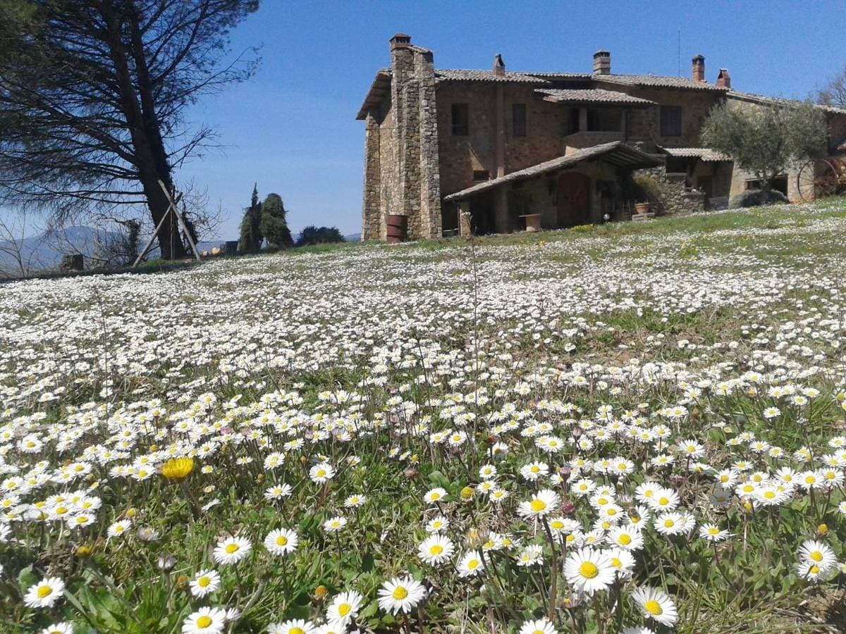 Agriturismo Le Roghete 1
