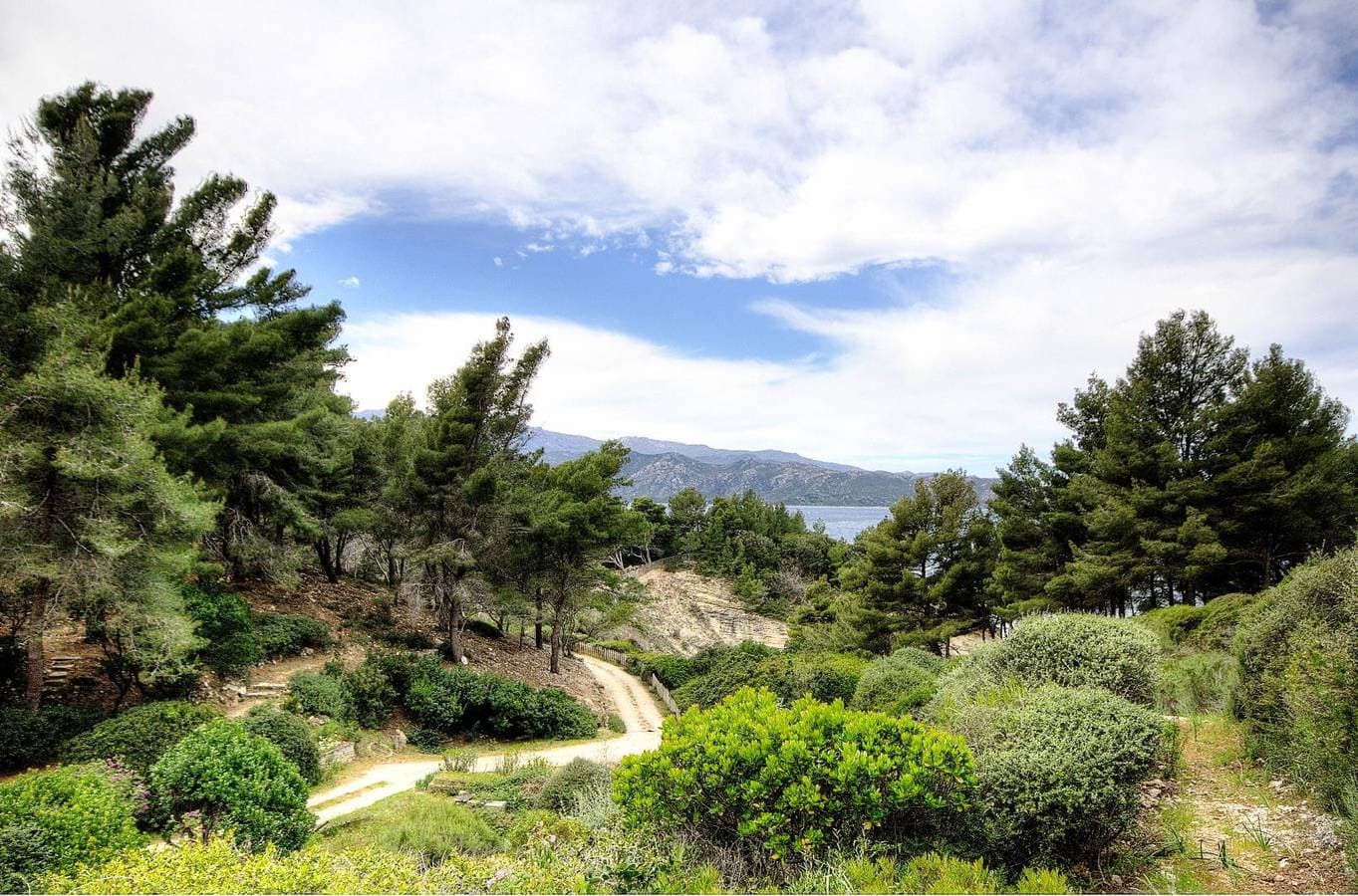 Foto 4 von 35: Un jardin bleu