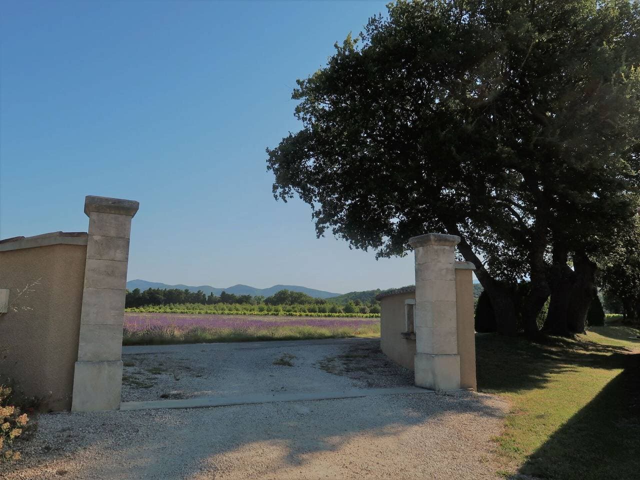 Foto 4 von 14: La Cardeline - La Cardeline 628.1