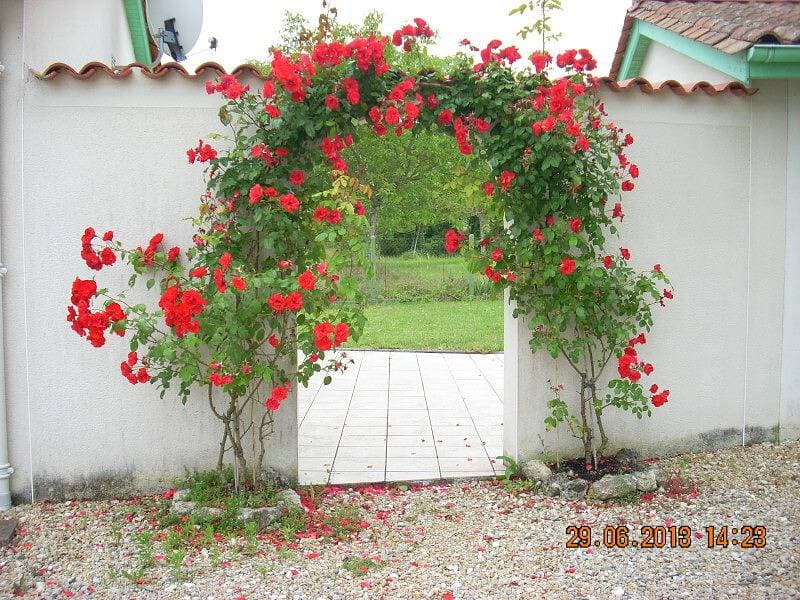 Foto 2 von 10: Les Bigoussies