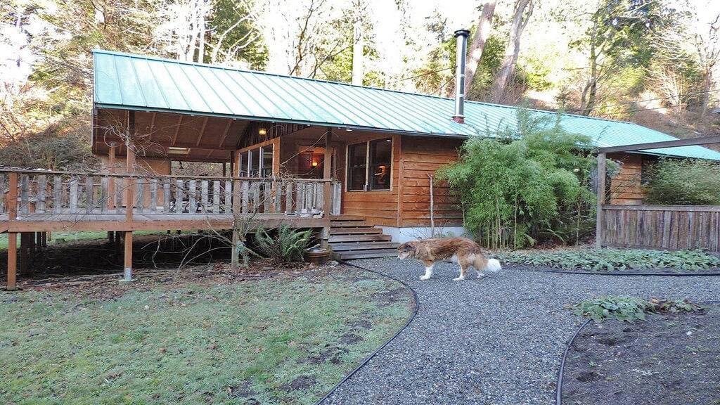 Foto 9 von 15: Wolf Glen: Gemütliche Hütte nahe dem Strand auf Vashon!