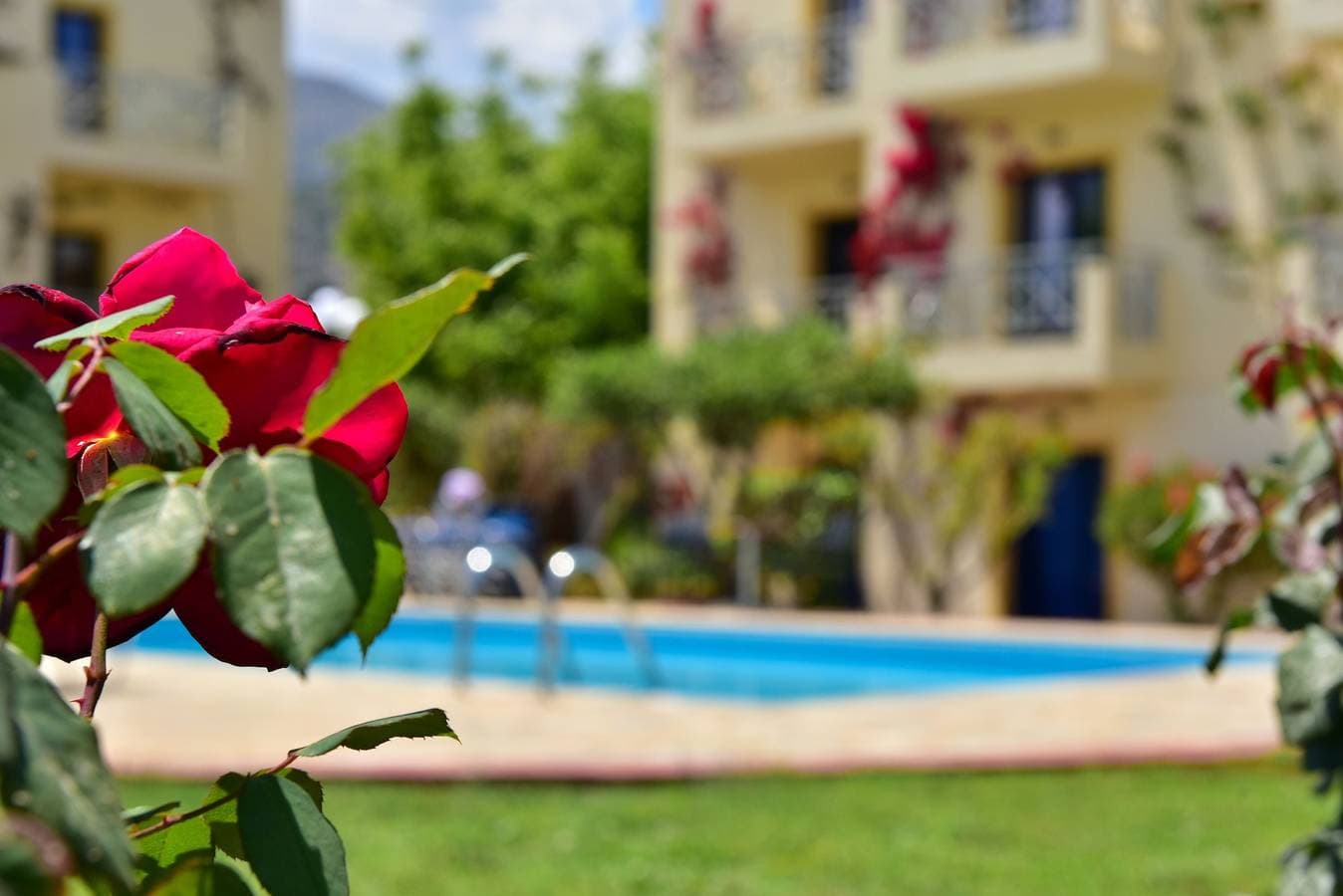 Foto 13 von 17: Ferienwohnung für 2 Personen mit Garten