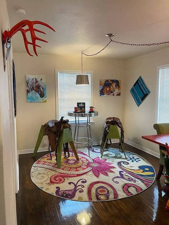 Horsefeathers 🐾 pet friendly funky comfort 1