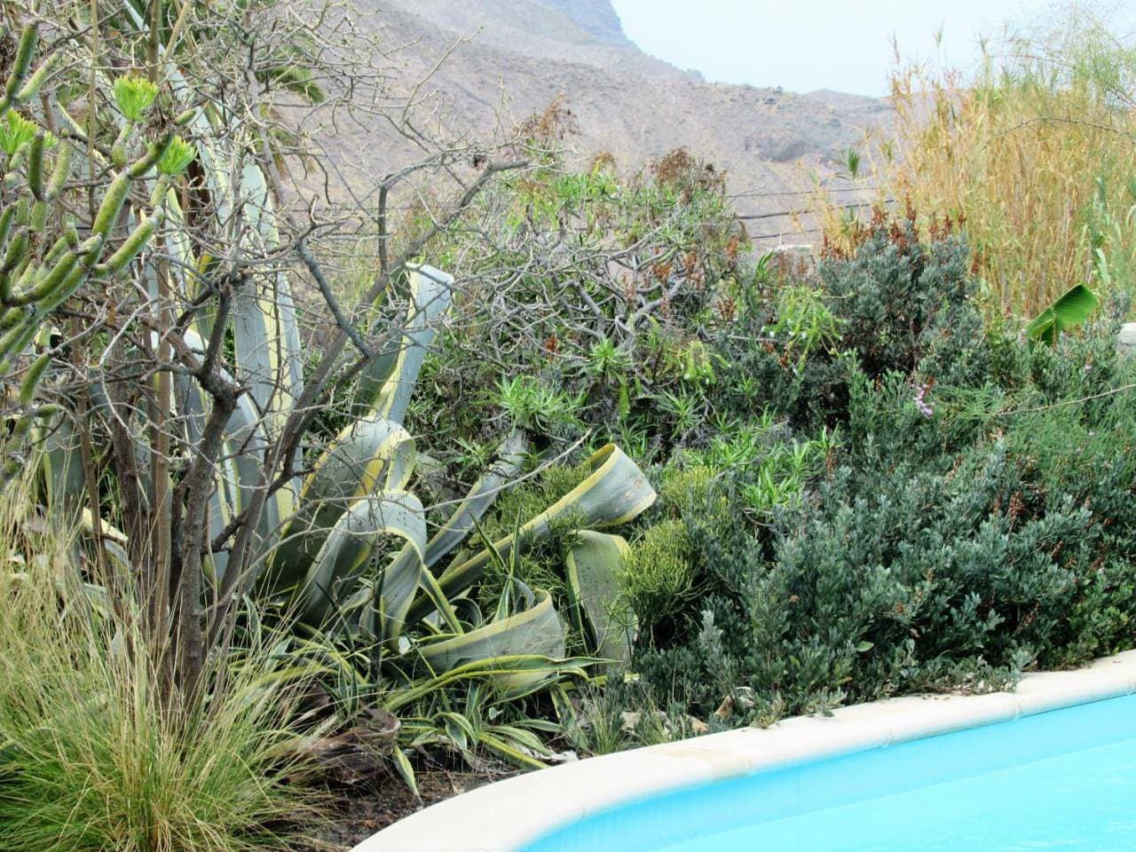 Foto 11 von 44: Holiday Home