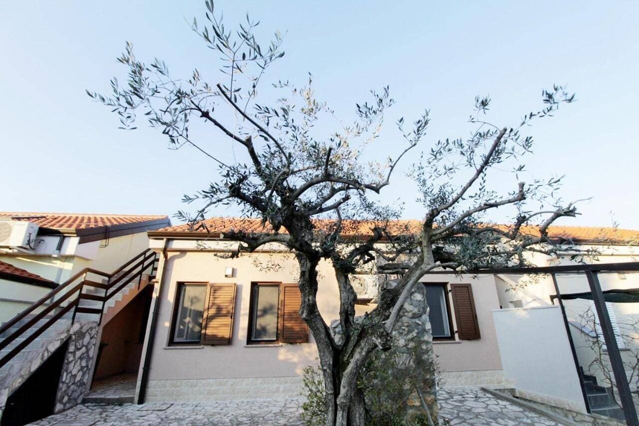 Apartments Sea view Melita Monterosso 1