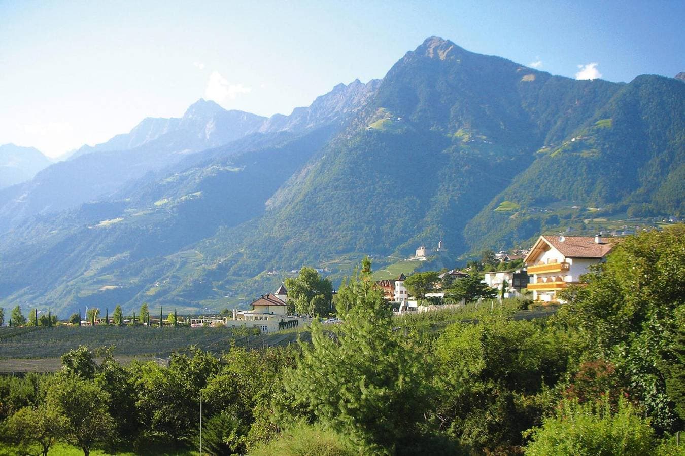Foto 5 von 28: Wohnung in Dorf Tirol nahe Spronser Seen