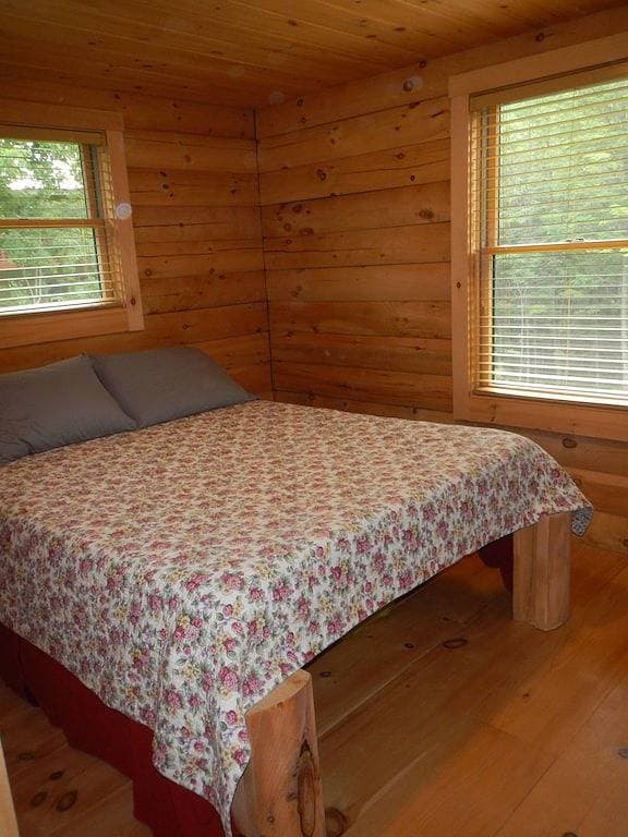Neue Miete: Blockhaus in Picture Perfect Jackson, Nh - in der Nähe von Storyland 1
