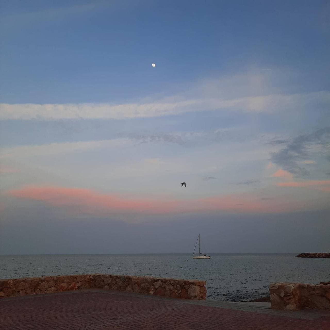 Foto 8 von 24: Apartment „Frente Al Mar“ mit Meerblick, Balkon und WLAN