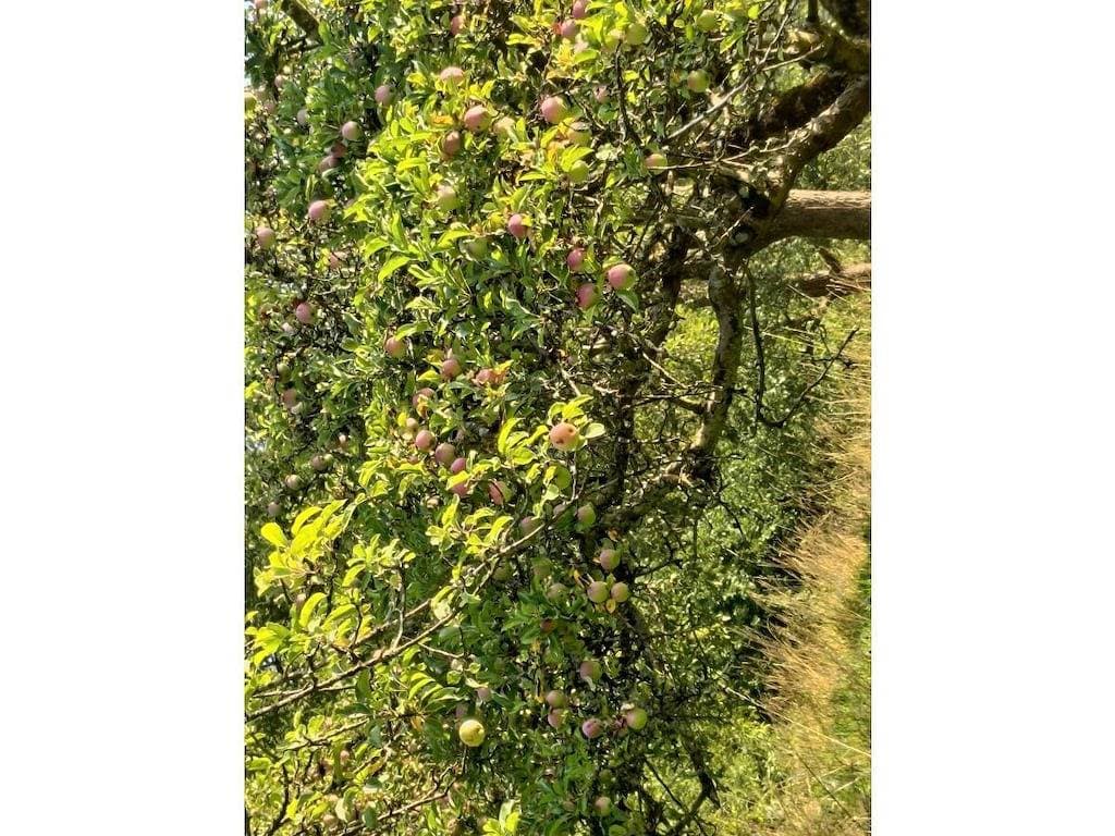 Foto 13 von 31: Villa Freudenberg