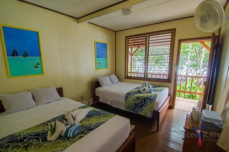 Foto 11 von 13: Reef Crest View Rooms