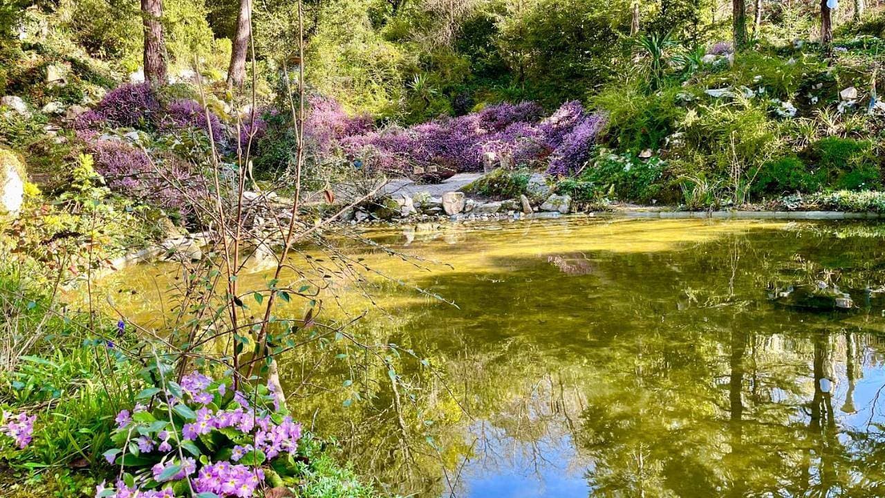 L'Autre Paradis-Piscines naturelles-Plages-Jardin enchanté-Sauna 1