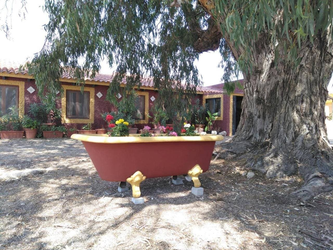 Casa del Procurador 1