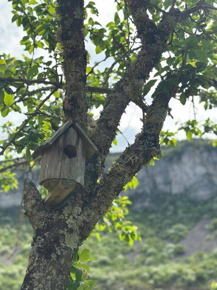 Foto 10 von 31: Holiday Home