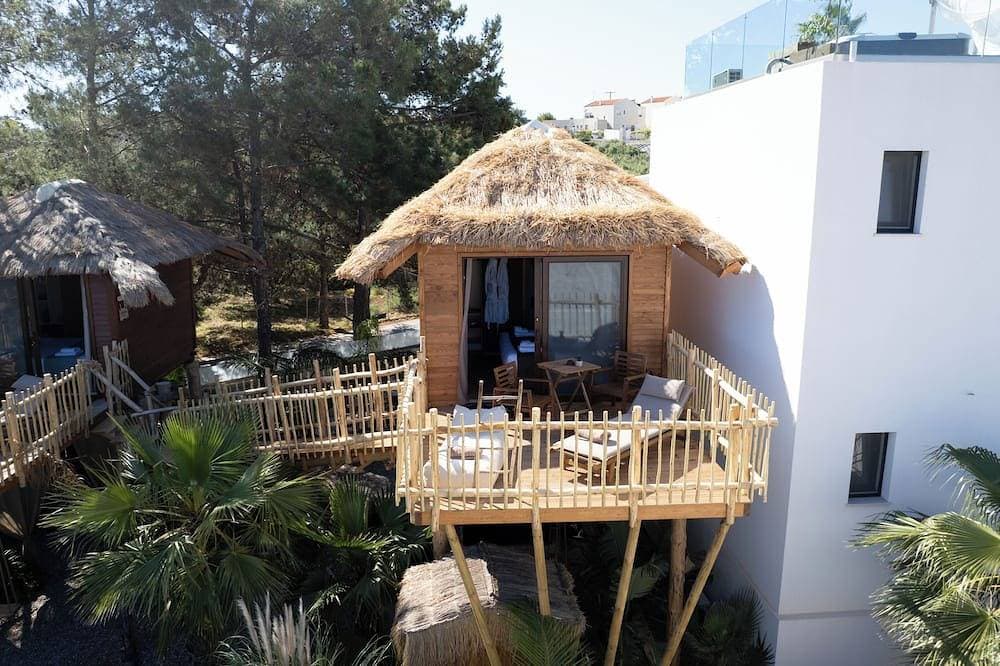 Zen Tree Suite with Jacuzzi | D Palm Premium Living 1