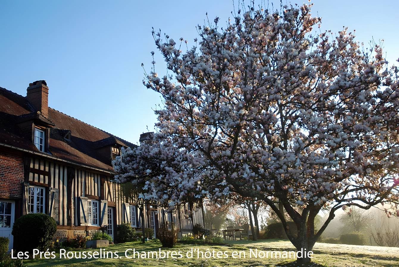Foto 11 von 38: Aux Prés Rousselins im Pays d'Auge – Gästezimmer L’école