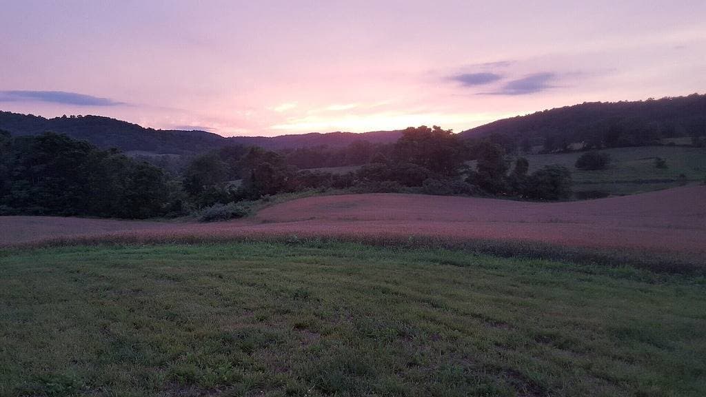 Foto 12 von 21: Kurzurlaub am Wochenende von Dc / Northern Virginia