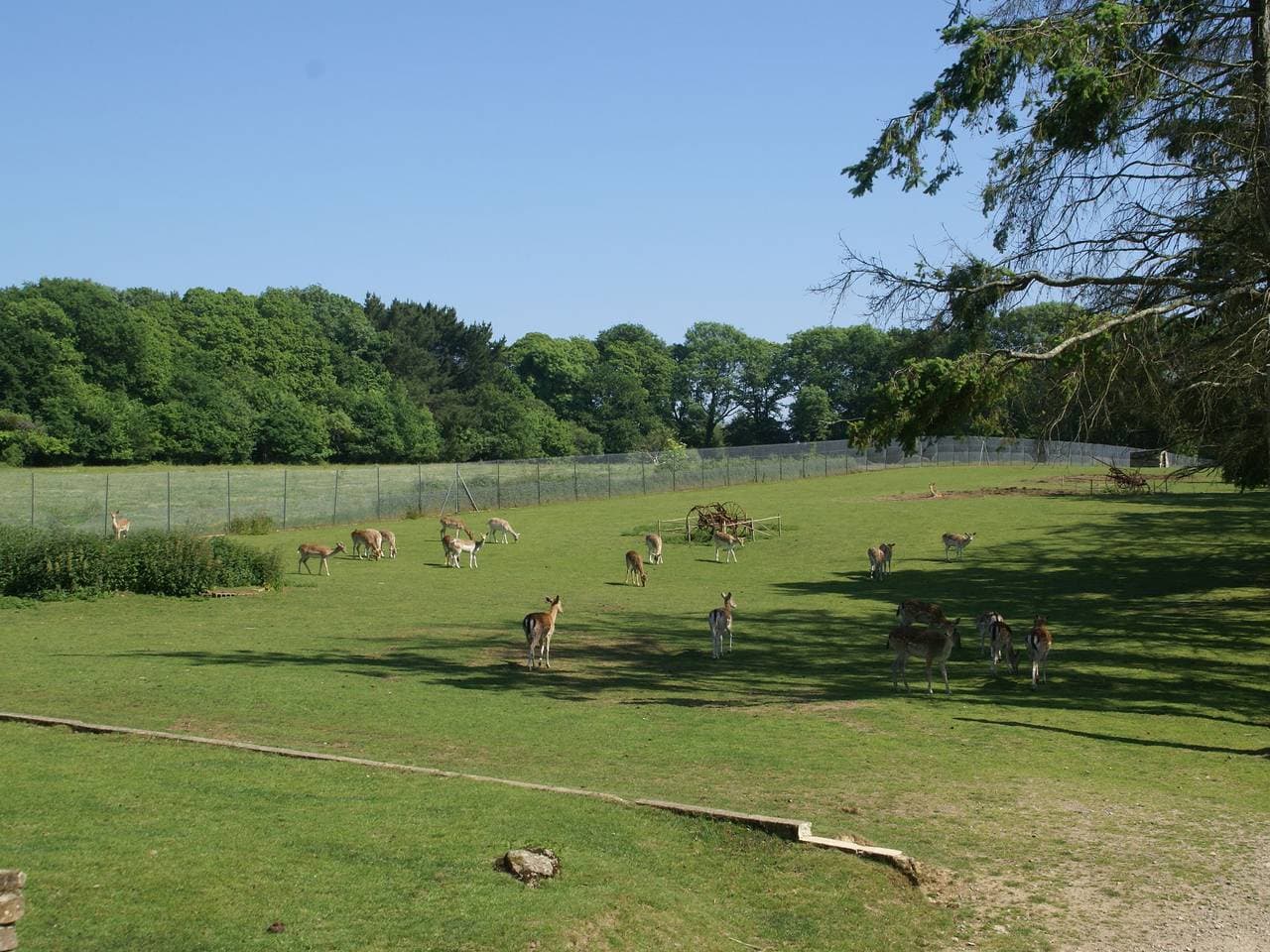 Foto 12 von 33: Wildtierparadies in der Nähe von Le Pouldu