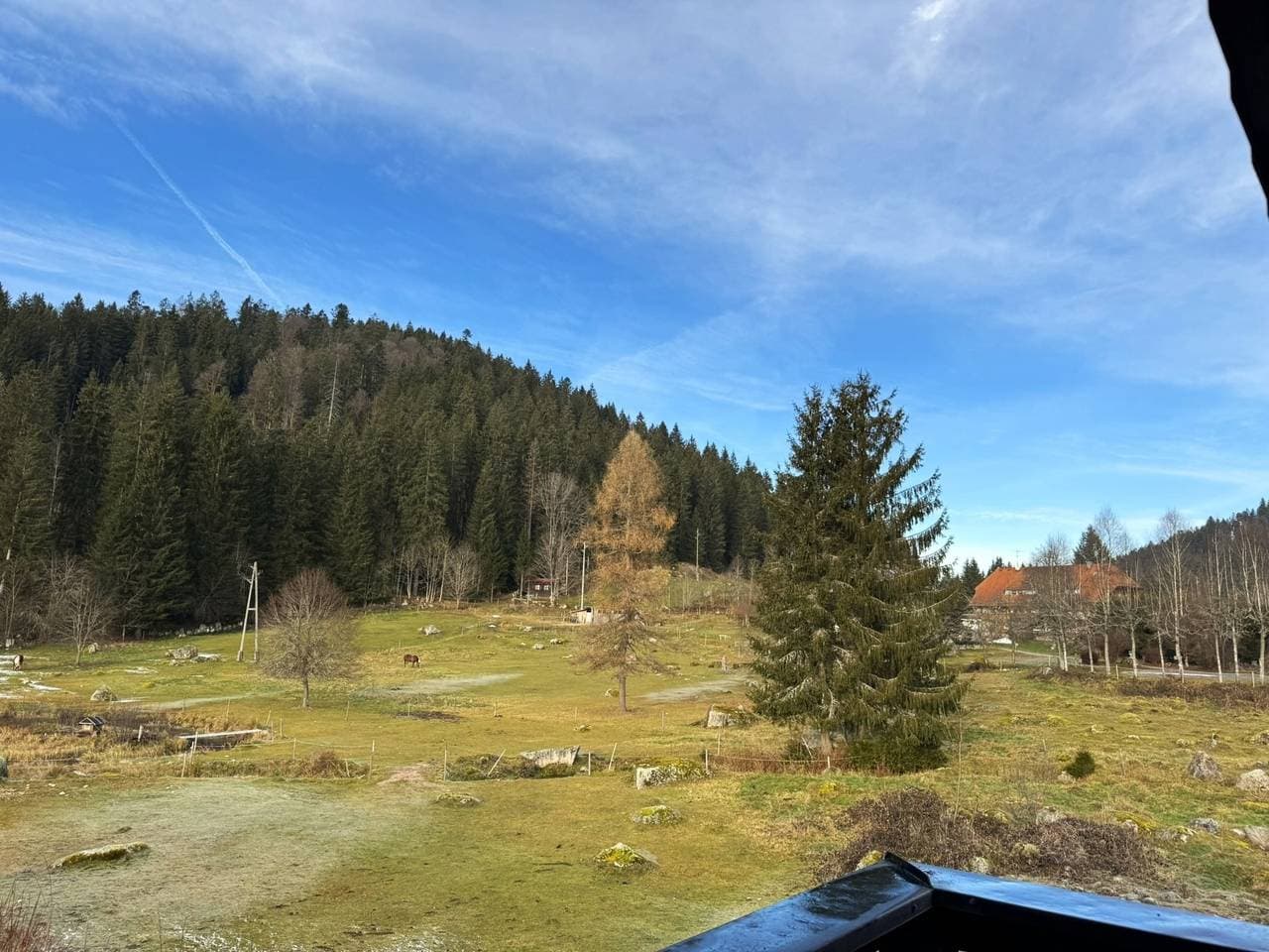 Foto 10 von 29: Gästehaus Seewald- Ferienwohnung 7 "Eiche", Schluchsee, Blasiwald