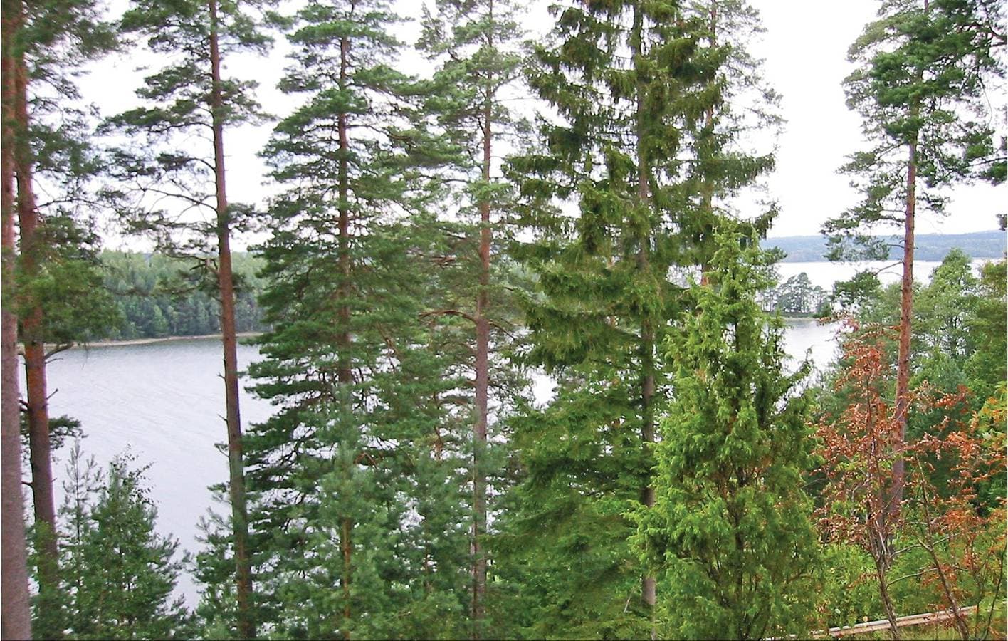 Foto 6 von 19: Ferienhaus für 5 Personen mit Terrasse