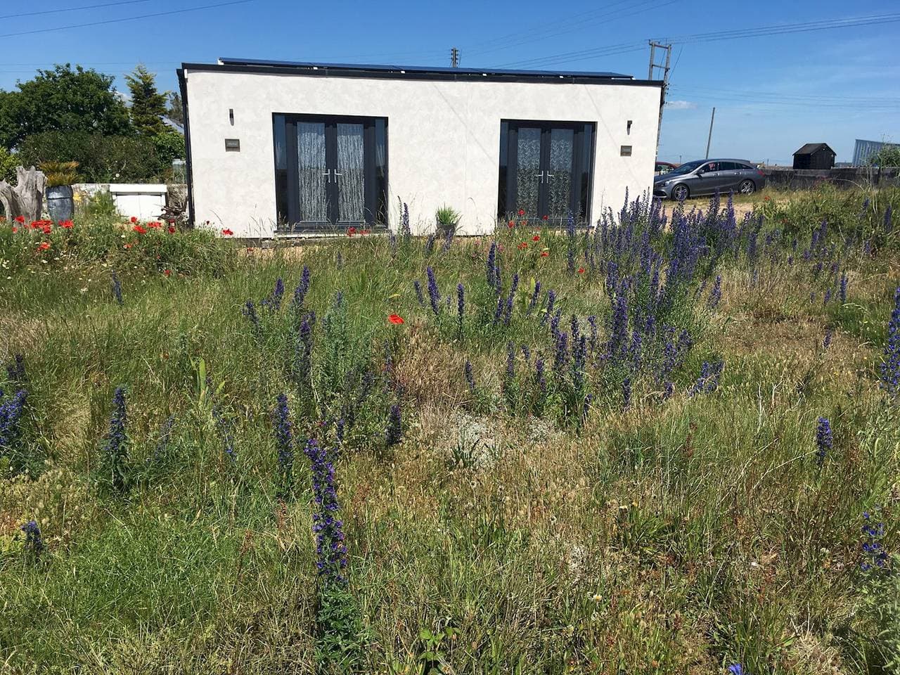 Foto 13 von 35: Ferienwohnung für 3 Personen mit Garten