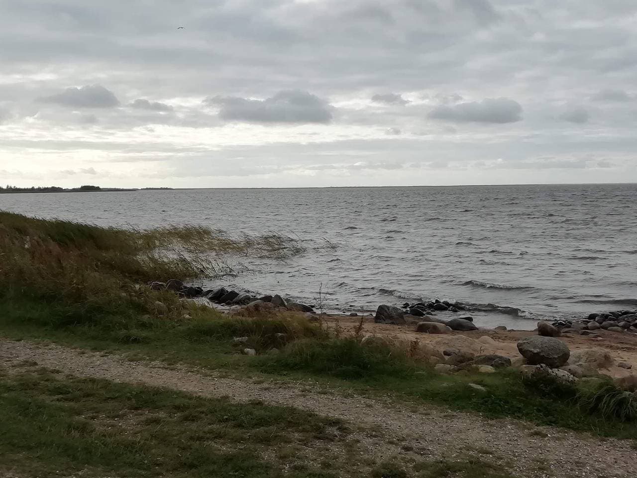 Foto 5 von 41: 6 Personen Ferienhaus in Ulfborg